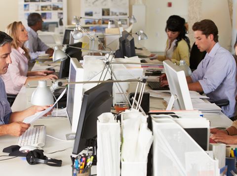 Six people working at desks in an office.