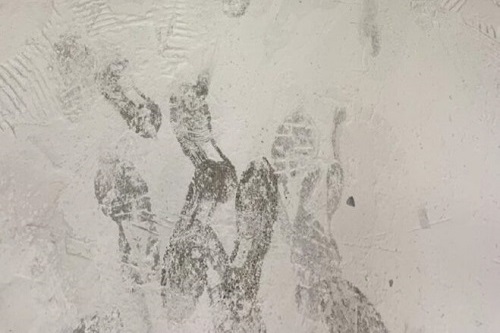 Shoe And Boot Prints Were Clearly Visible On The Dusty Floor Photo HSE SMLL